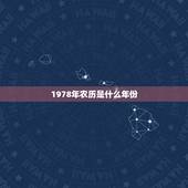 1978年农历是什么年份