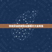 带来好运的微信头像图片大全有鱼，用红锦鱼做微信头像运气好吗