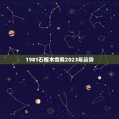 1981石榴木命男2023年运势