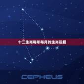 十二生肖每年每月的生肖运程，十二生肖每月运情