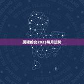 属猪的女2023每月运势