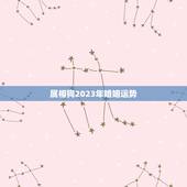 属相狗2023年婚姻运势，属狗今年婚姻运势如何的最新相关信息