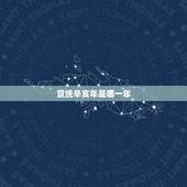 宣统辛亥年是哪一年，宣统辛亥年三年是多久