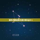 属牛几月出生大富大贵2023，2023年属牛出生的最佳时辰？