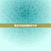 属虎与龙的婚配好不好，属龙和属虎的相配吗