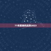 71年属猪的运势2023