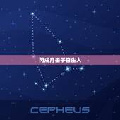 丙戌月壬子日生人