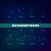 属相马和老鼠能不能合得来，生肖鼠和生肖马能在一起吗