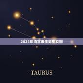 2023年清宫表生男生女图，2023年清宫图正版怀孕了不能吃东西怎么办