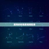 属狗的和兔属相婚配表，属狗的属相婚配表是怎样的？