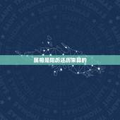 属相是阳历还历来算的，属相是按阳历算还是按阴历算
