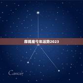 摩羯座今年运势2023，摩羯座今年运势2023女