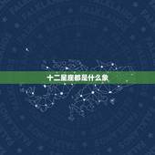 十二星座都是什么象，十二星座都是什么动物