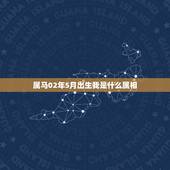 属马02年5月出生我是什么属相，2002年出生的是什么星座，什么生肖
