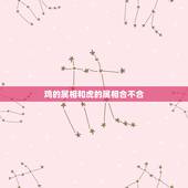 鸡的属相和虎的属相合不合，属鸡的男的和属虎的女的合不合？