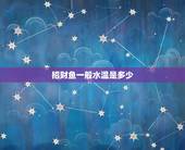 招财鱼一般水温是多少，养招财温控制在多少