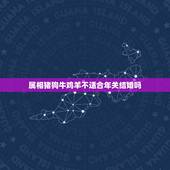 属相猪狗牛鸡羊不适合年关结婚吗，十二生肖中，那些属相最不适宜结婚？