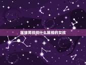 属猪男孩找什么属相的女孩，1971年属猪的男人找什么样属相的女人相配？