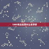 1985年出生改什么名字好，王沧，男，1985，8，15出生，改一个