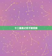 十二星座之双子座宫殿，双子座十二宫