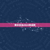 癸水日主2023年运势