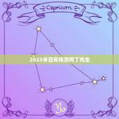 2023辛丑年预测丙丁先生，不同日柱看2023年辛丑年运势？