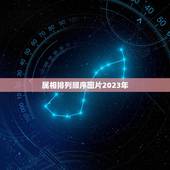 属相排列顺序图片2023年，我国农历用十二生肖12中动物色顺序轮流代表
