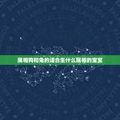 属相狗和兔的适合生什么属相的宝宝，爸爸妈妈属兔生什么属相的宝宝比较好？