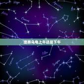 埋葬乌龟上午还是下午，埋乌龟有什么讲究？