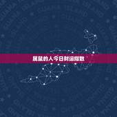 属鼠的人今日财运指数，属鼠的人今日财运指数运势
