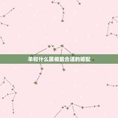 羊和什么属相最合适的婚配，属羊与属马人婚配合适吗