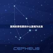 属狗的男性要找什么属相为女友，我是1982属狗的适合找什么属相和性格的