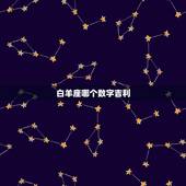 白羊座哪个数字吉利，白羊座其实最有心机