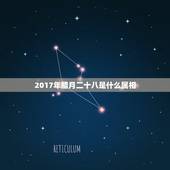 2017年腊月二十八是什么属相，今年年底腊月二十八满28岁，属什么，哪