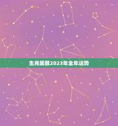 生肖属猴2023年全年运势，属猴人2023年运势及财运