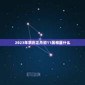 2023年农历正月初11属相属什么，2023年初一属什么生肖