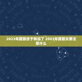 2023年属猴终于转运了 2023年属猴女要注意什么