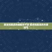 属龙和属虎的相配好不好 属虎和属龙的夫妻运气