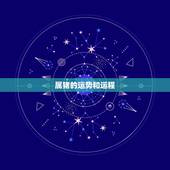 属猪的运势和运程，属猪全年运程每月运势