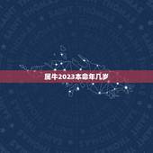 属牛2023本命年几岁，2023年属牛本命年送什么礼物好 寓意好吗？