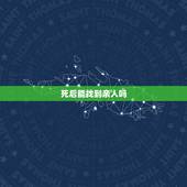 死后能找到亲人吗，人死后再可以遇见自己的亲人吗？