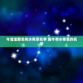 牛宝宝取名有水有草名字 属牛带水带草的名字