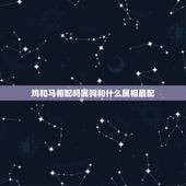 鸡和马相配吗属狗和什么属相最配，属狗和鸡日出生的马能相配吗？