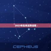 2023年生肖运势运程，2023年十二生肖运势运程