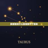 属猪能和什么属相做不了朋友，属猪和什么属相相冲