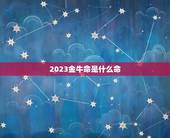 2023金牛命是什么命，2023年是什么命