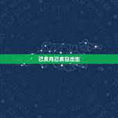 己亥月己亥日出生，己亥日几点出生好