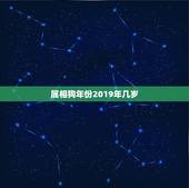 属相狗年份2019年几岁，2023十二生肖岁数年龄表？