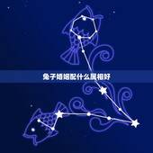 兔子婚姻配什么属相好，婚姻鼠和兔子两个属相相配好吗