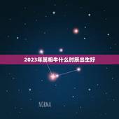2023年属相牛什么时辰出生好，2023什么时候开始是牛年